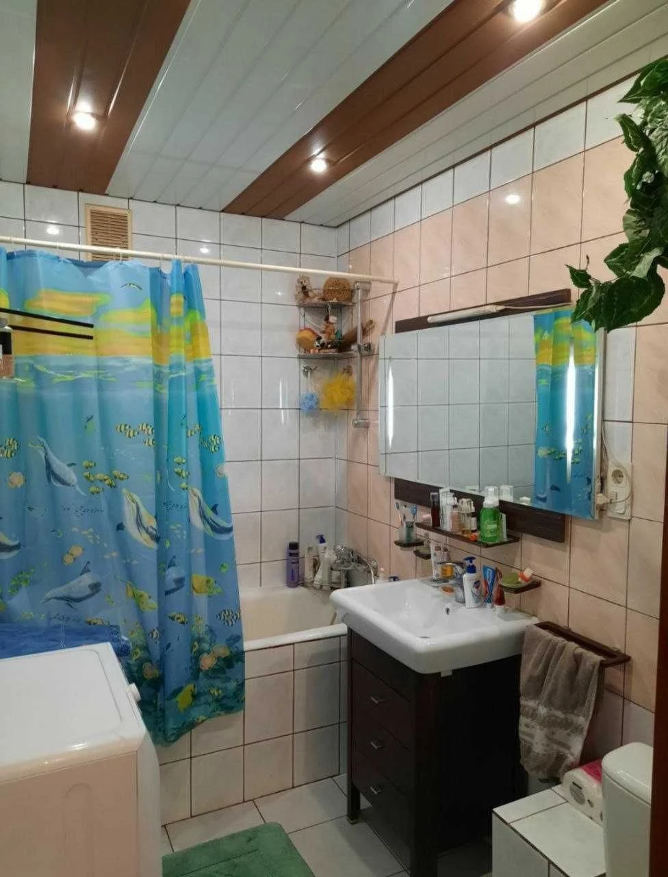From Owner! Apartment in the city center with a great view from