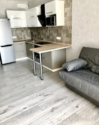 Однокомнатная квартира, 45,3 кв.м.