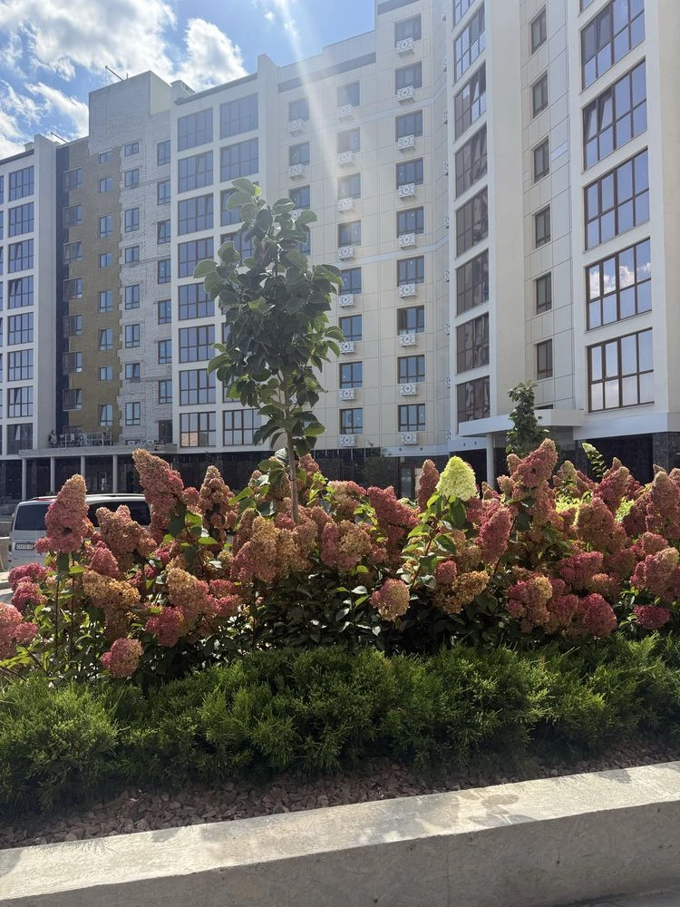 1-bedroom apartment in the Olympic-Modern residential complex