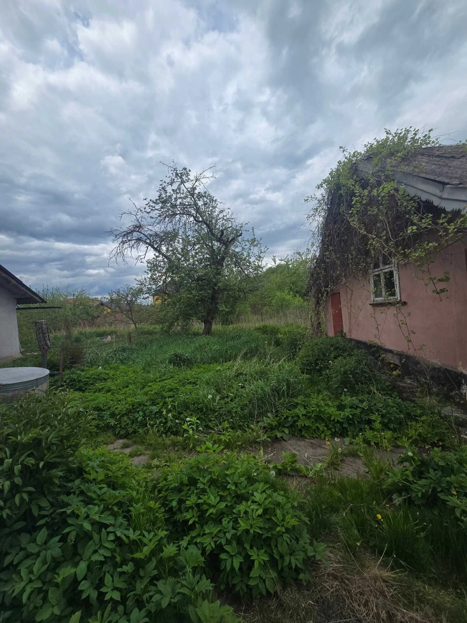 Single-family house for sale in Pasichna area
