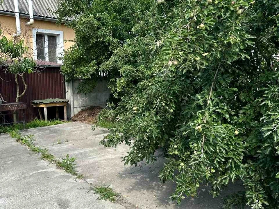 House. Konstantin Arefeva st., Kyiv