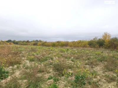 Продажа земли сельскохозяйственного назначения, Старое місто