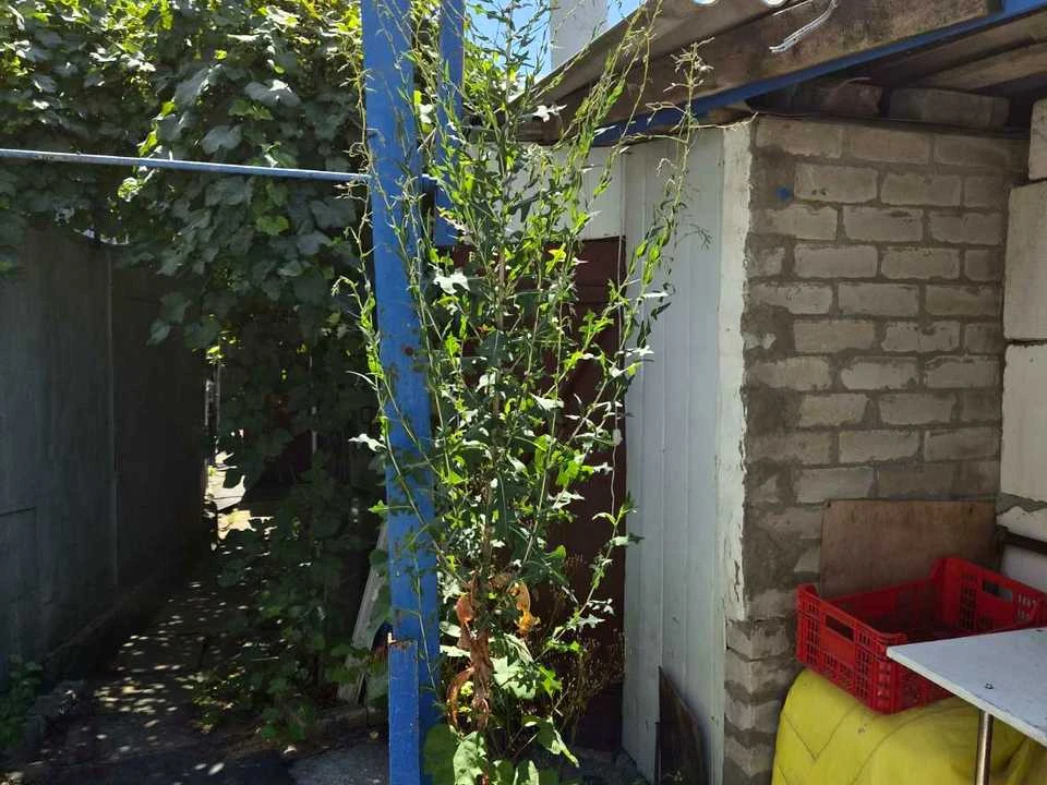 House. Odesa, Okurzhna вул.