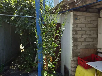 House. Odesa, Okurzhna вул.