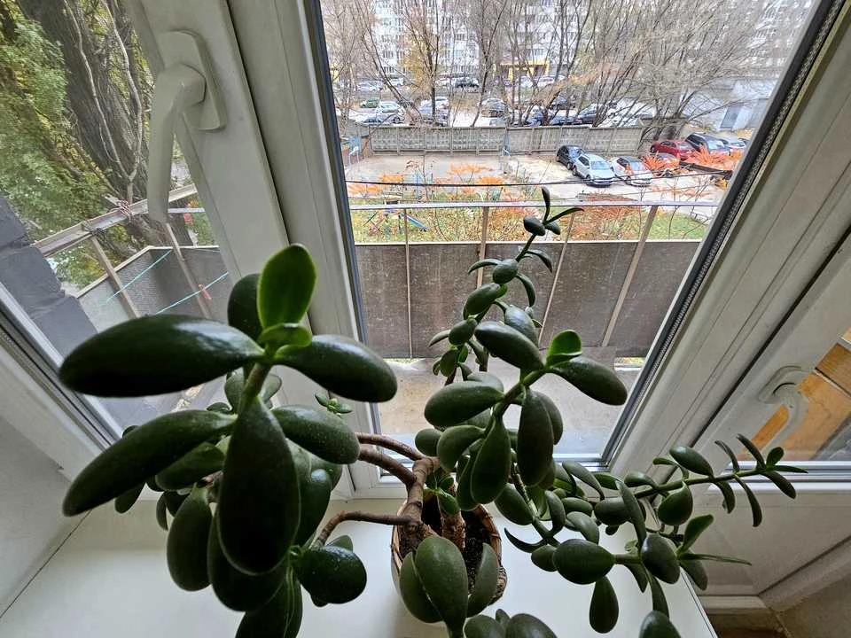 Apartment. Kazarmenna St, Kyiv