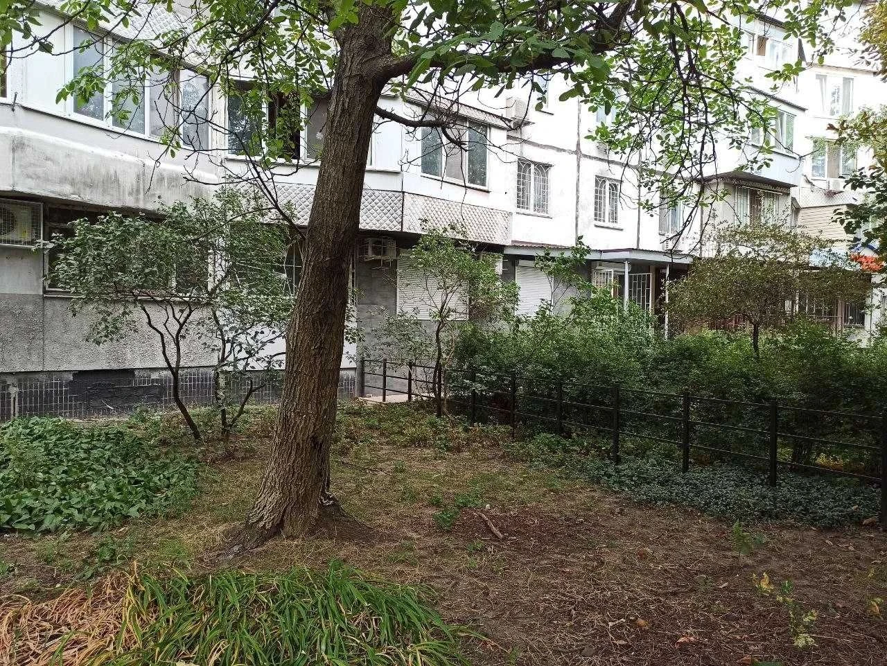 Commercial Apartment on Ilfa and Petrova Street, Levitan, Tair