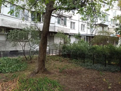 Commercial Apartment on Ilfa and Petrova Street, Levitan, Tair