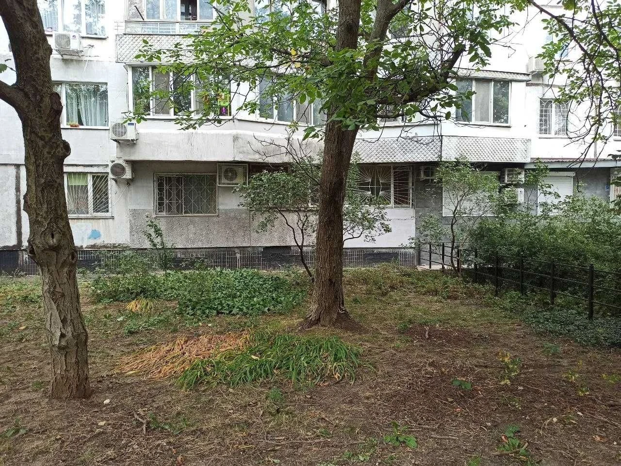 Commercial Apartment on Ilfa and Petrova Street, Levitan, Tair