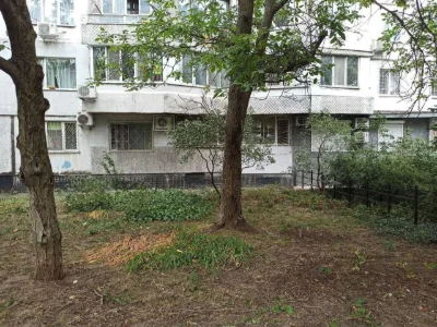 Commercial Apartment on Ilfa and Petrova Street, Levitan, Tair