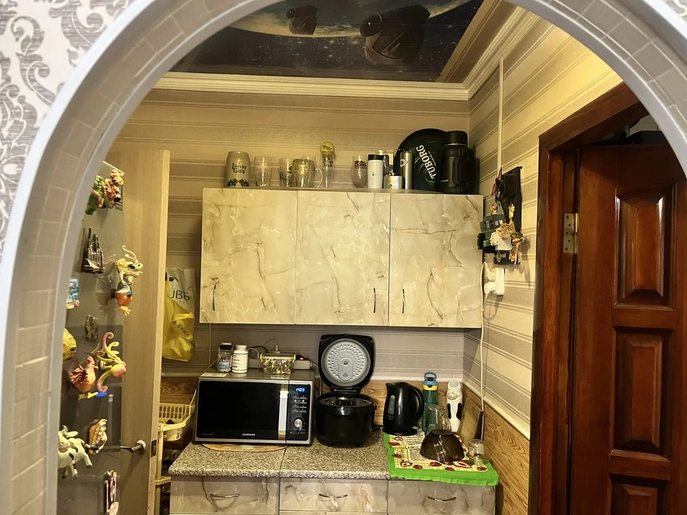 Sale of a 1-room apartment at M. Zalizniak St. 29/1