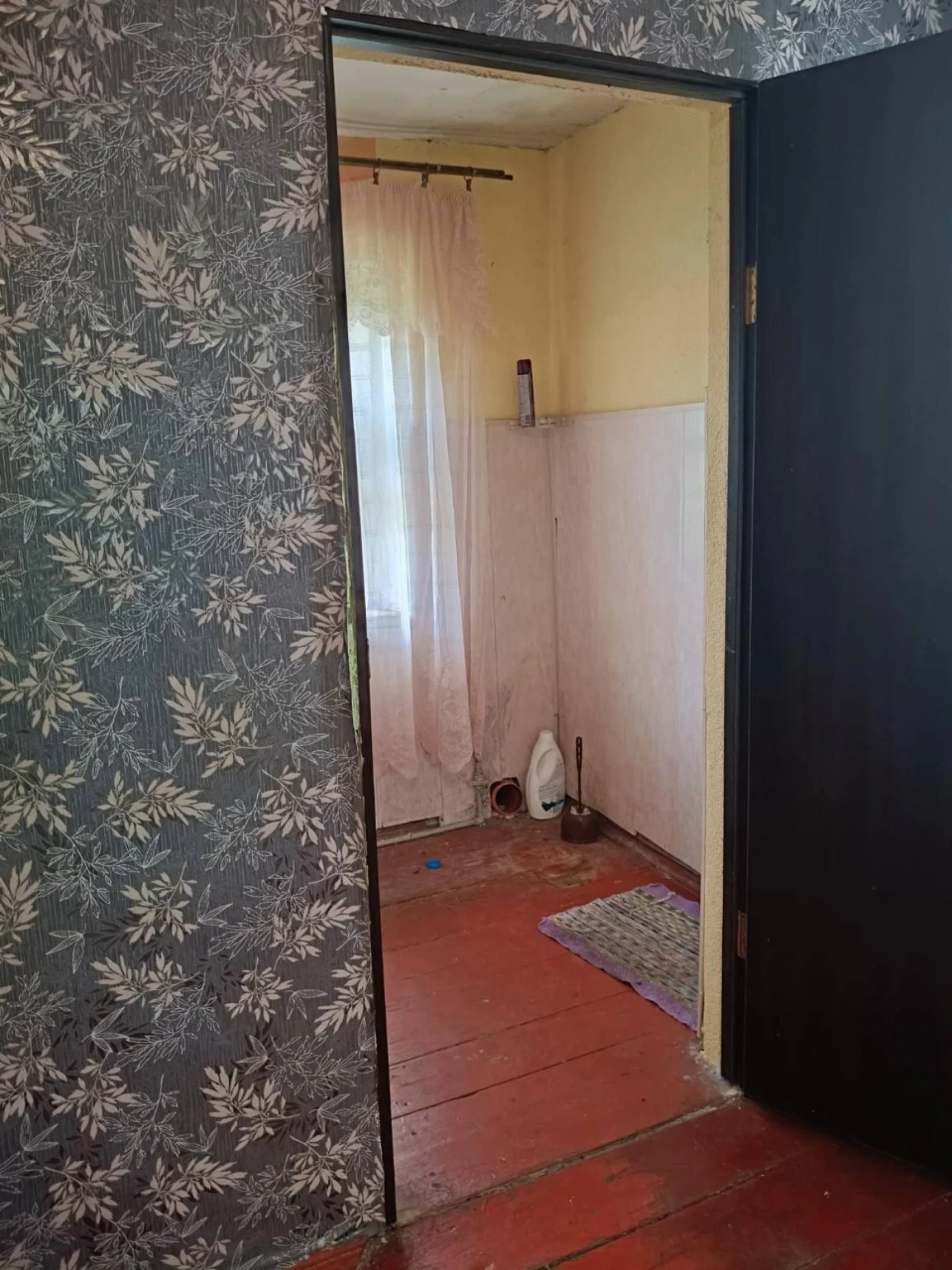 Real House. AN. Perevod, Berezniv Priroda