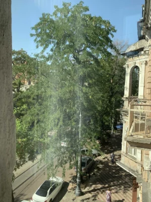 1-кімнатна квартира в центрі Одеси