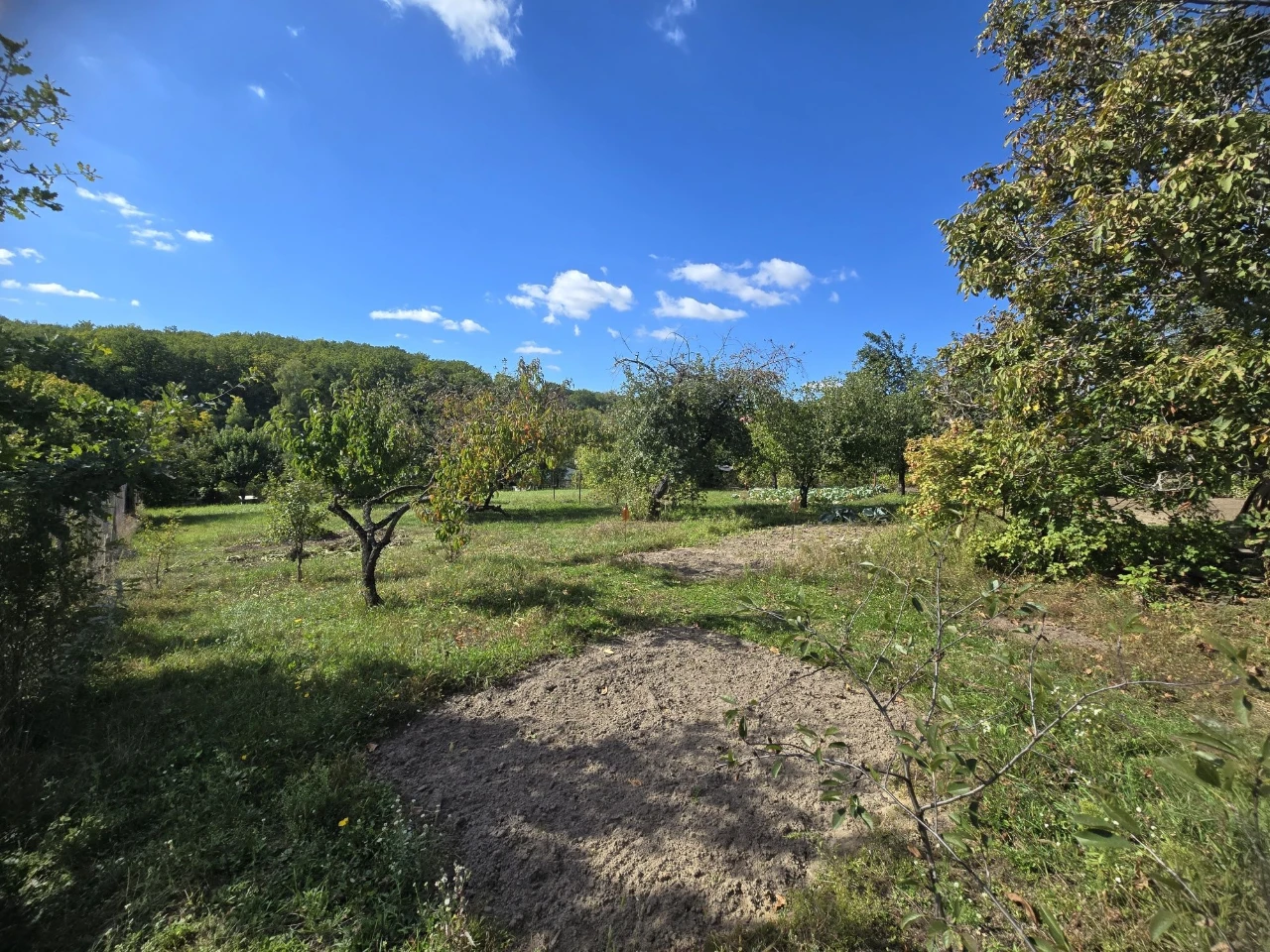 House in Хорошево / Zhikhory, 63m2 with combined heating and a yard