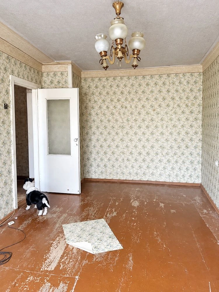 Apartment for renovation, 1 room, Sport Palace, Ribalka (89642)