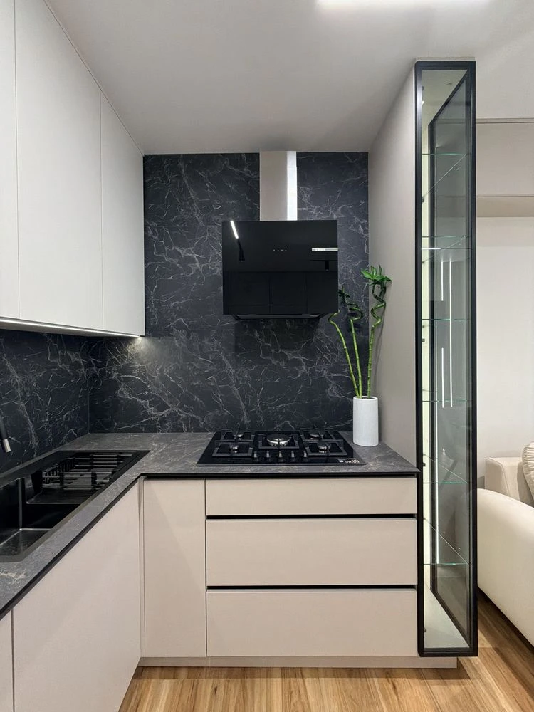 2 room apartment with kitchen and living room. New renovation, furniture, appliances. Scientific/Pulyay/Olga/Kulparkivska street.