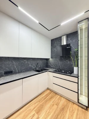 2 room apartment with kitchen and living room. New renovation, furniture, appliances. Scientific/Pulyay/Olga/Kulparkivska street.