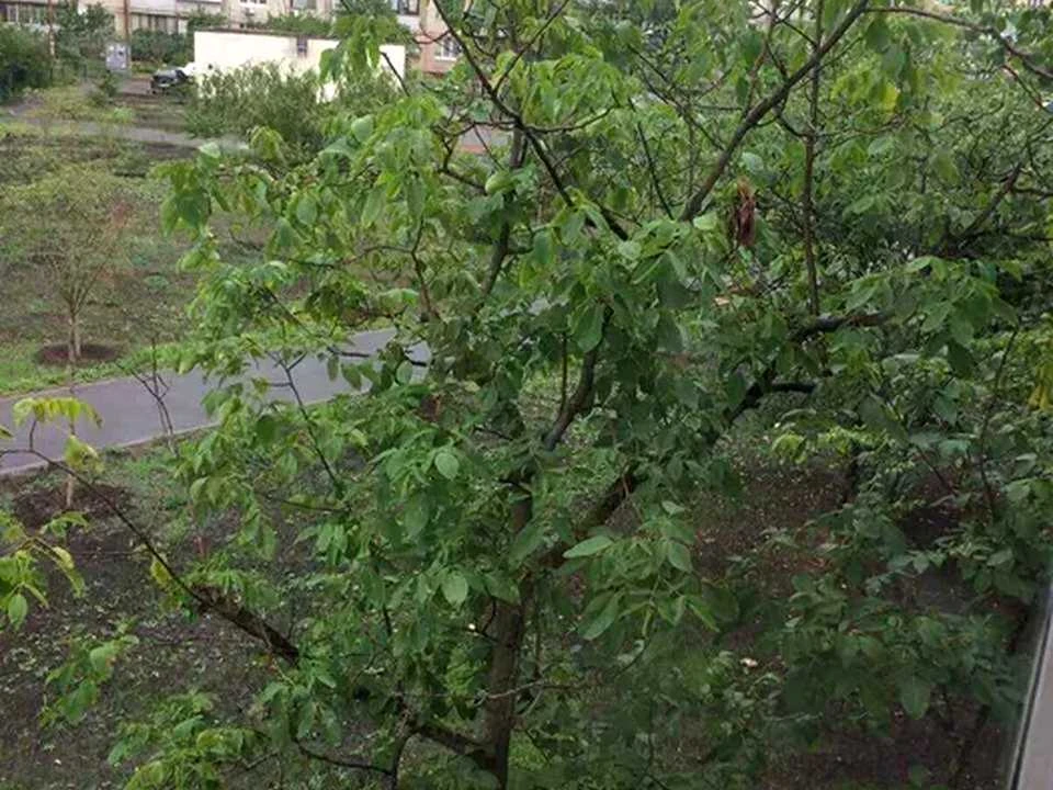 Квартира. Київ, Північна вул.