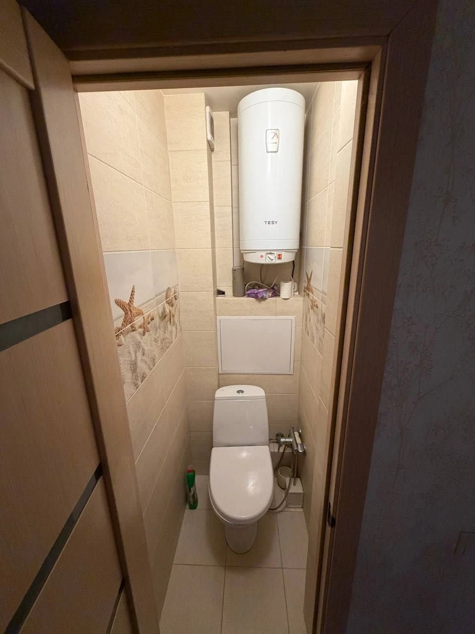 For Sale: 1-bedroom apartment in Troyeshchene