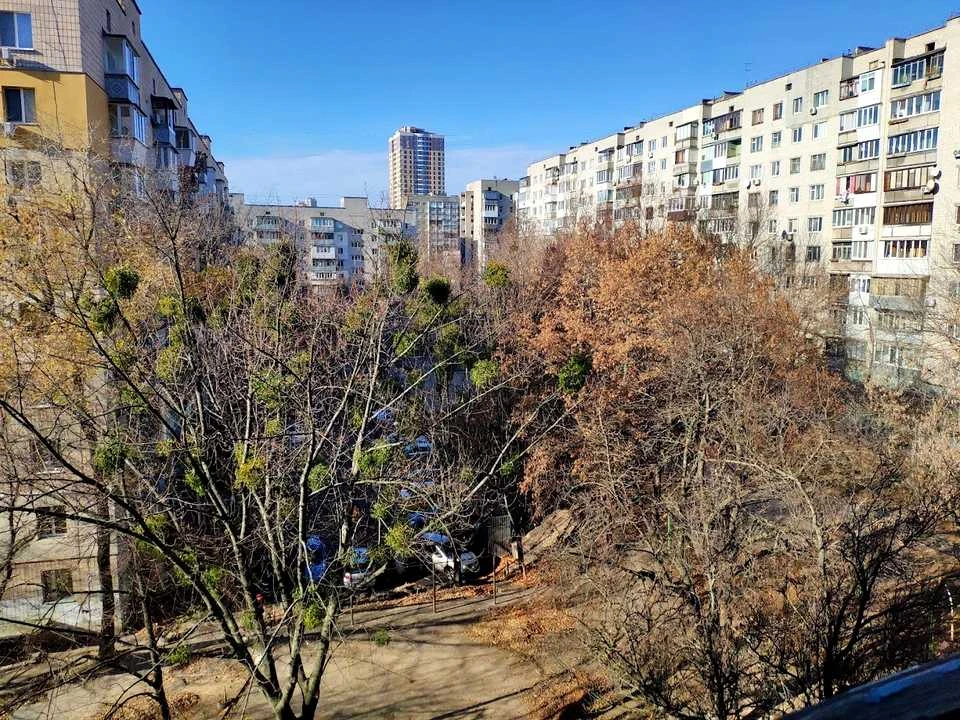 Квартира. Киев, улица Вадима Гетмана