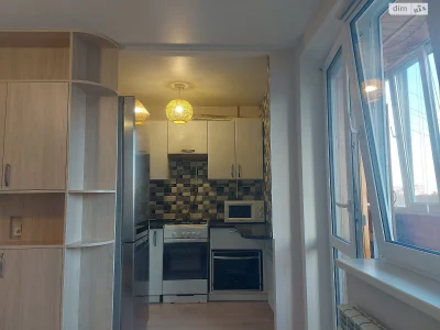 Long-Term Rental Apartment, Syrets'