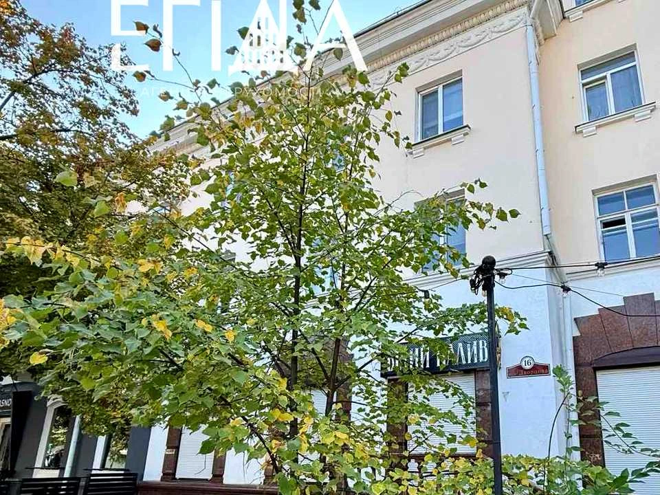 Квартира. Кропивницький, Театральна вулиця