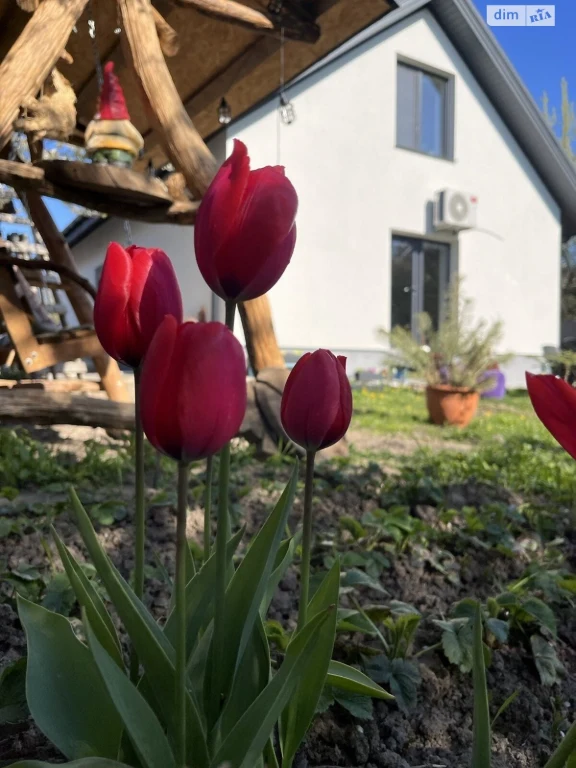 House for sale Pyatnychany