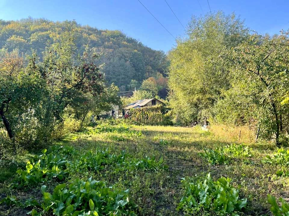 Будинок. Львів, Старознесенська вул.