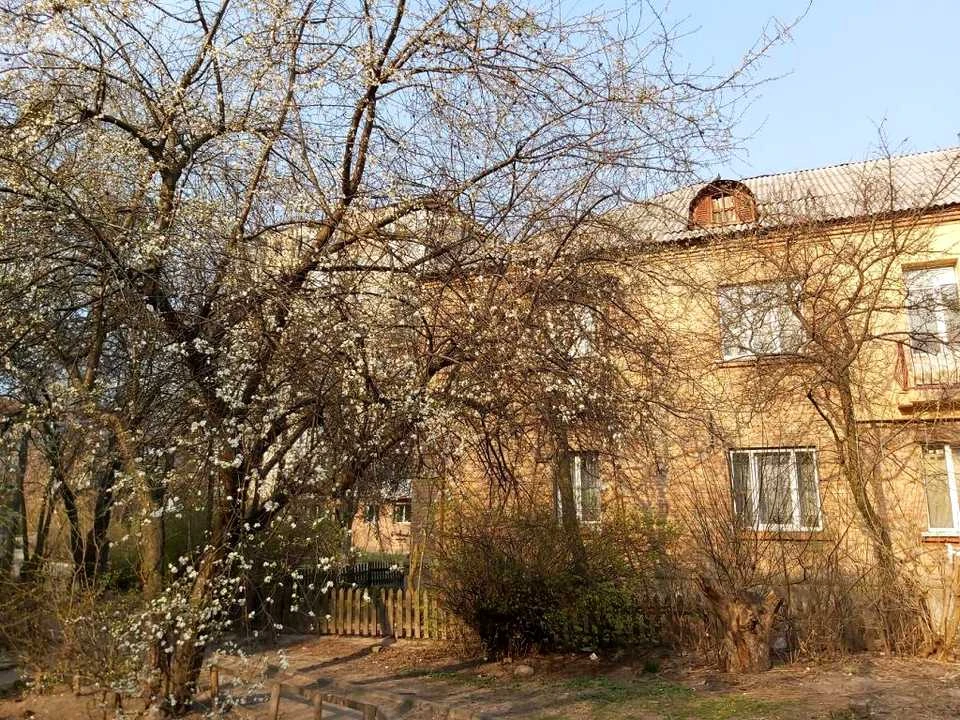 Квартира. Київ, вулиця Глаголєвих