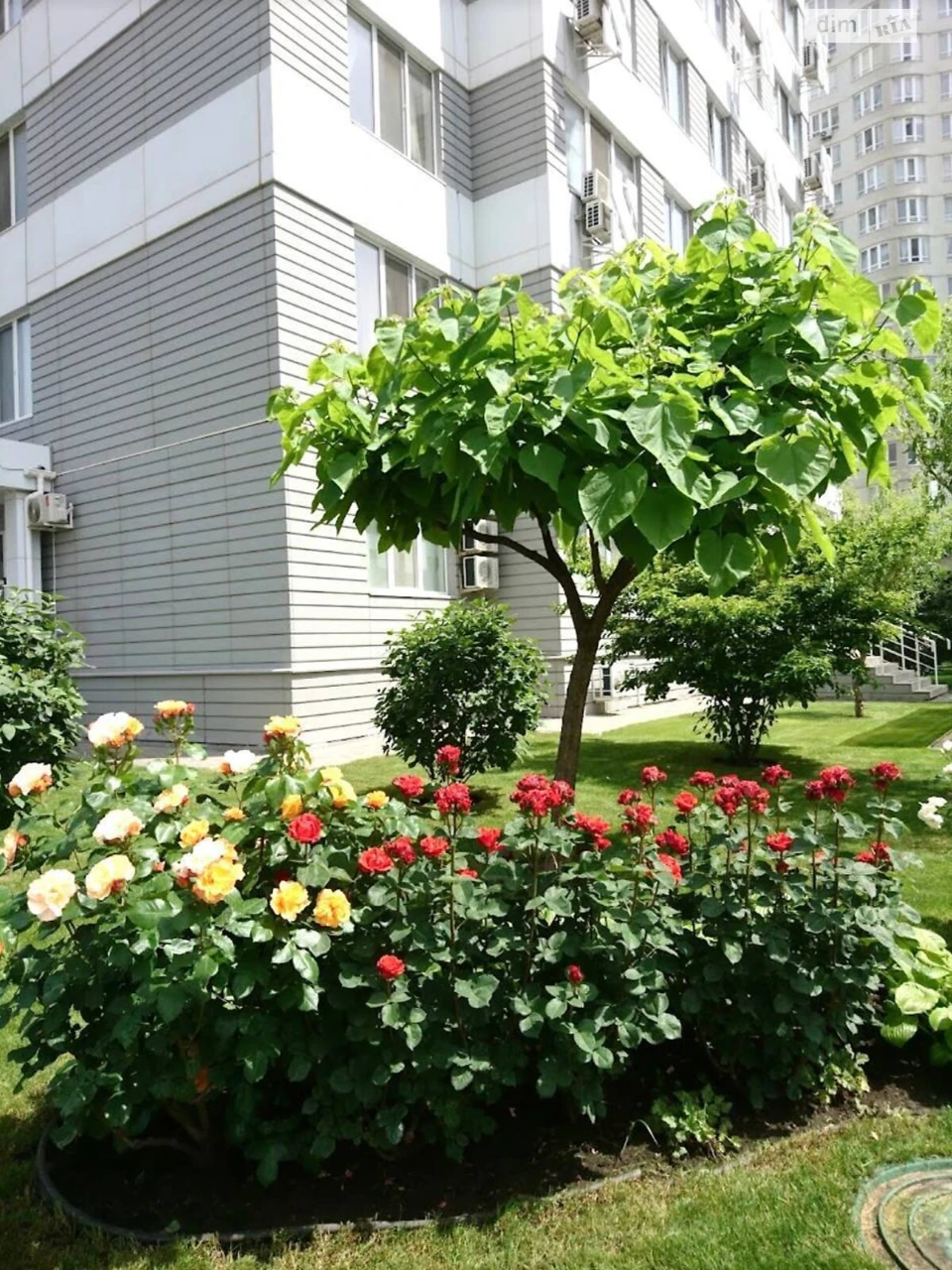 Long-Term Rental Apartment in Chubayivka