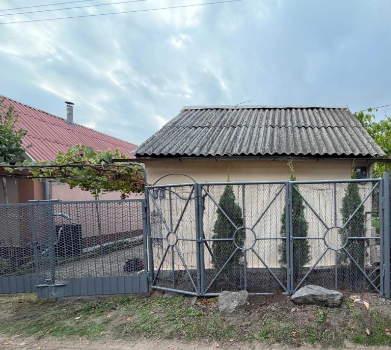 Country house near the Dnipro at Virve