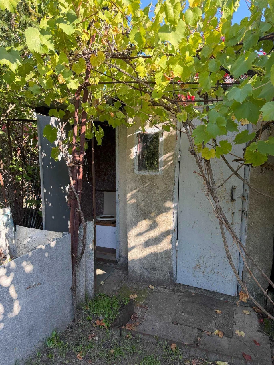 Country house near the Dnipro at Virve