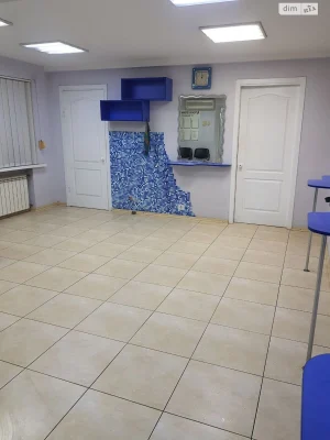 Long-term Rental Apartment Voznesenivskyi (Ordzhonikidzev