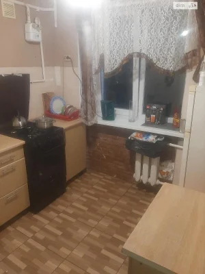 Long-Term Rental Apartment in Kulparkiv