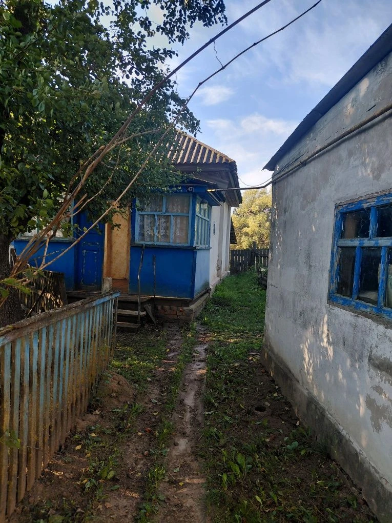 Дом в селе Дроздівка