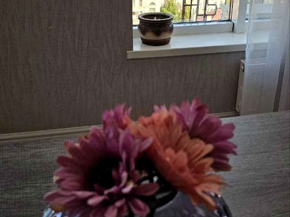 Квартира. Одесса, Французский бульвар.