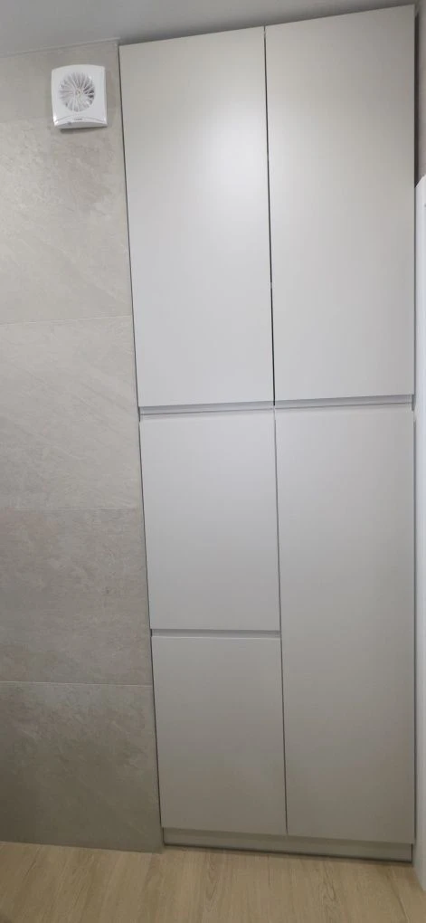 1 bedroom apartment with renovation