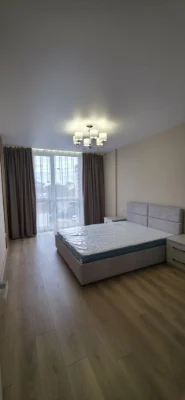 1 bedroom apartment with renovation