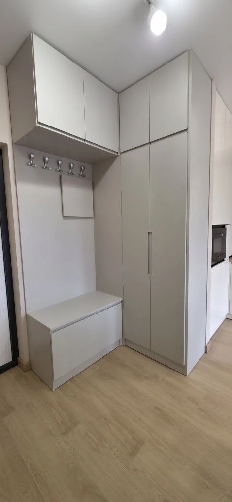 1 bedroom apartment with renovation