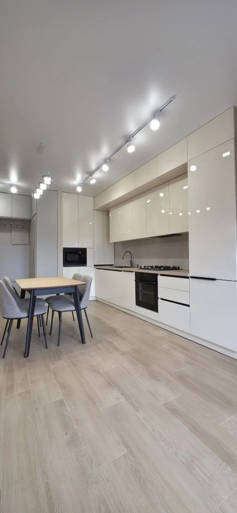 1 bedroom apartment with renovation