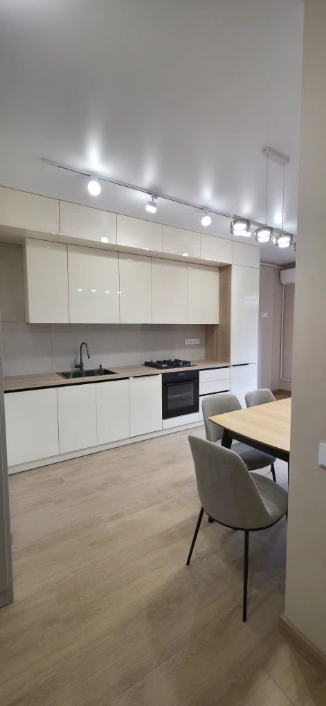 1 bedroom apartment with renovation