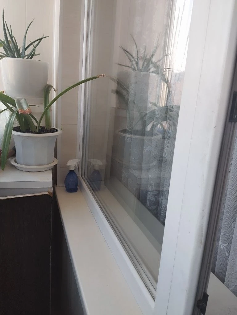 Sale of 1-bedroom apartment in Salta, 624 m-r