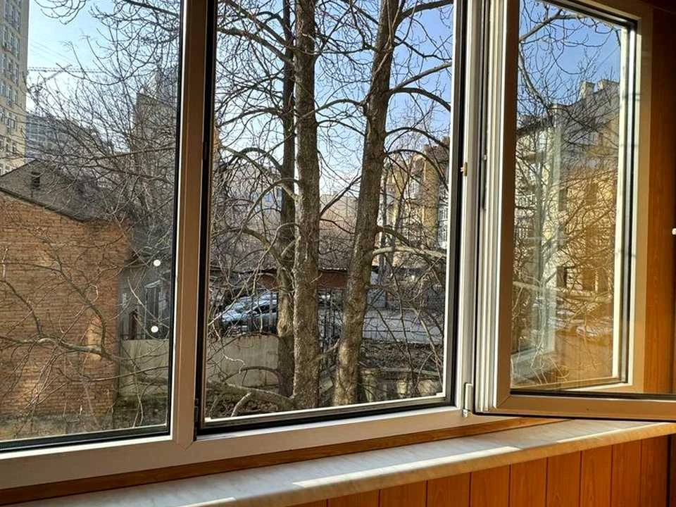 Квартира. Киев, Большая Васильковская улица