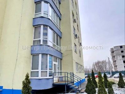 Apartment. Kharkiv, Yana Chervonoi St.