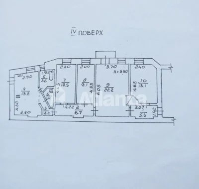«Золотий трикутник» Грецька-Пушкінська. Бельгійка.