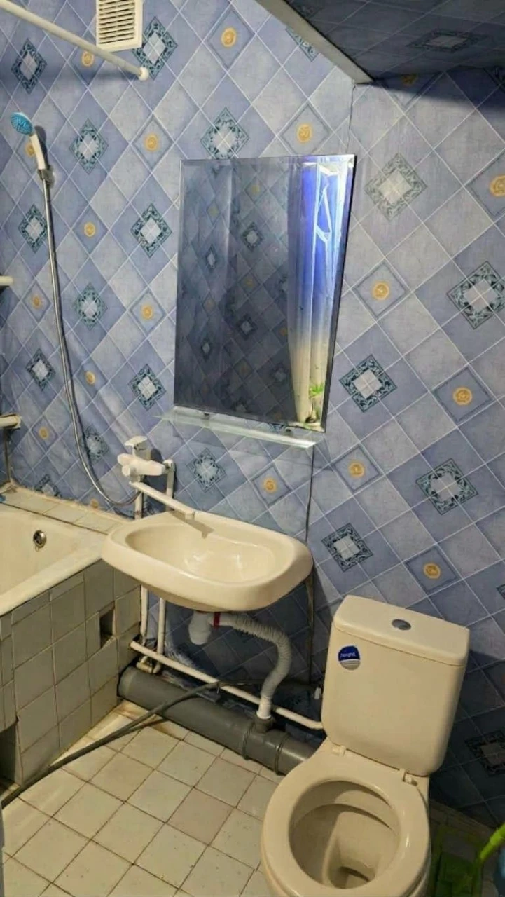 Квартира в Гречанах, 1 комната, Владелец