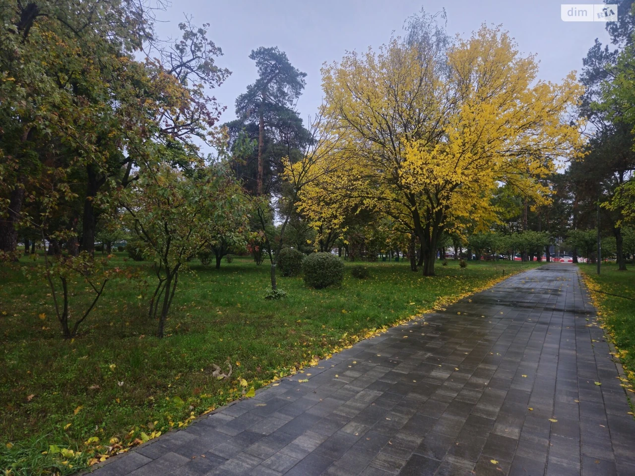 Apartment for Sale - Forest Area