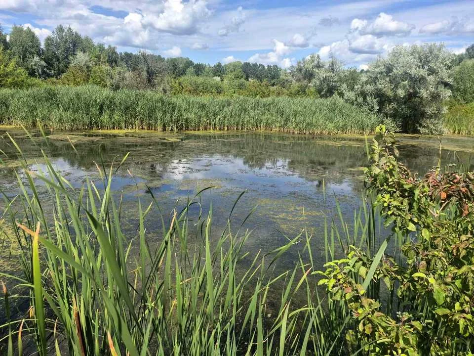 Ділянка. Черкаси, Набережна вулиця