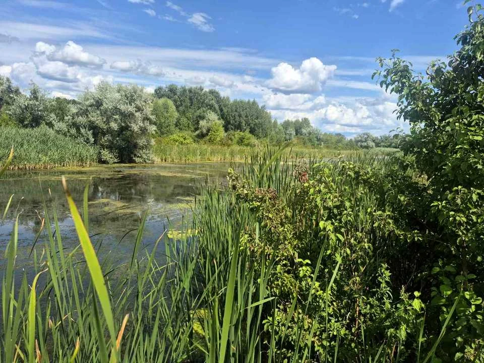 Ділянка. Черкаси, Набережна вулиця