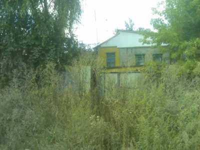 Bogo-Dukhov District Cottage