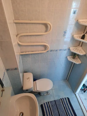 Long-term rent of a 1-bedroom apartment near M. Obolon, вул.
